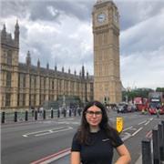 ripetizioni di inglese per ragazzi di medie/superiori (grammatica biennio+letteratura)/elementari